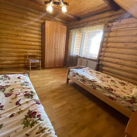 Відпочинок В Карпатах Villa Verkhne-Studenyy Dış mekan fotoğraf