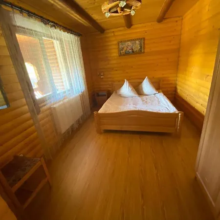 Відпочинок В Карпатах Villa Verkhne-Studenyy Dış mekan fotoğraf
