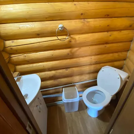 Відпочинок В Карпатах Villa Verkhne-Studenyy Dış mekan fotoğraf