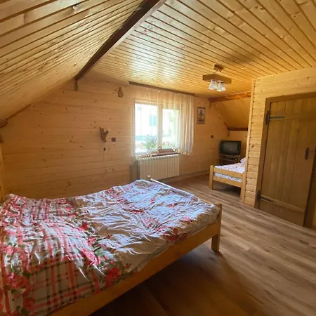 Відпочинок В Карпатах Villa Verkhne-Studenyy Dış mekan fotoğraf