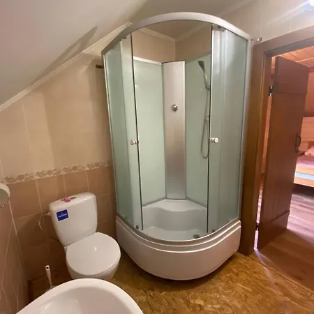 Відпочинок В Карпатах Villa Verkhne-Studenyy Dış mekan fotoğraf