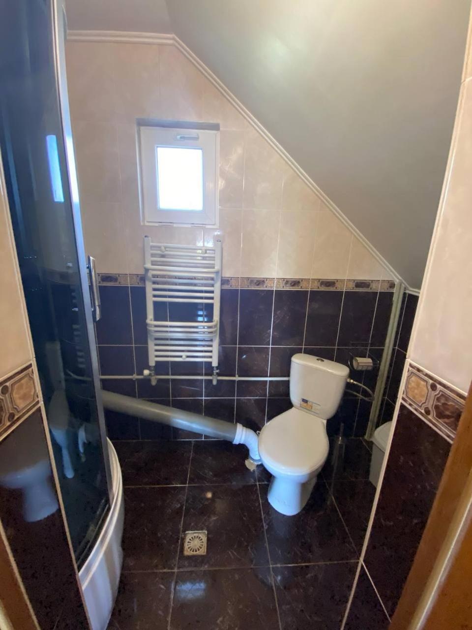 відпочинок в карпатах